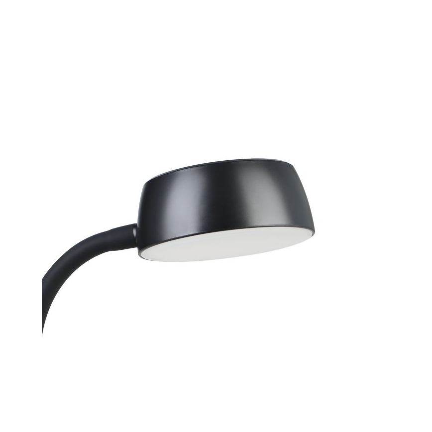 Eglo - Lampada da tavolo LED LED/4,5W/230V