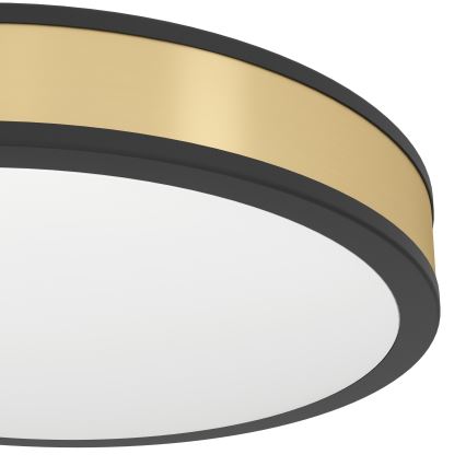 Eglo - Plafoniera LED LED/24W/230V