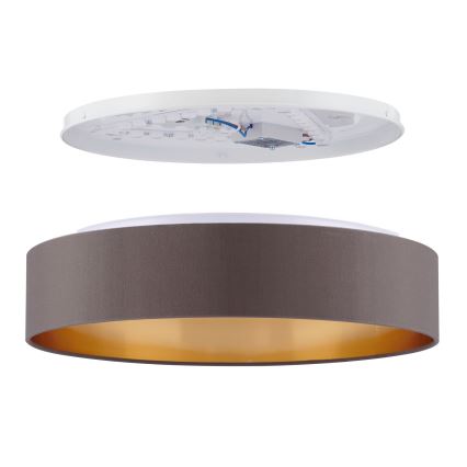 Eglo - Plafoniera LED LED/24W/230V