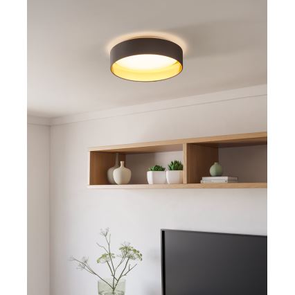 Eglo - Plafoniera LED LED/24W/230V