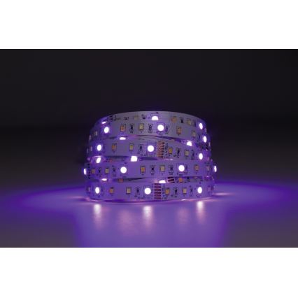 Eglo - Ruban RGBW à intensité variable 5m LED/11W/12/230V 2700-6500K ZigBee