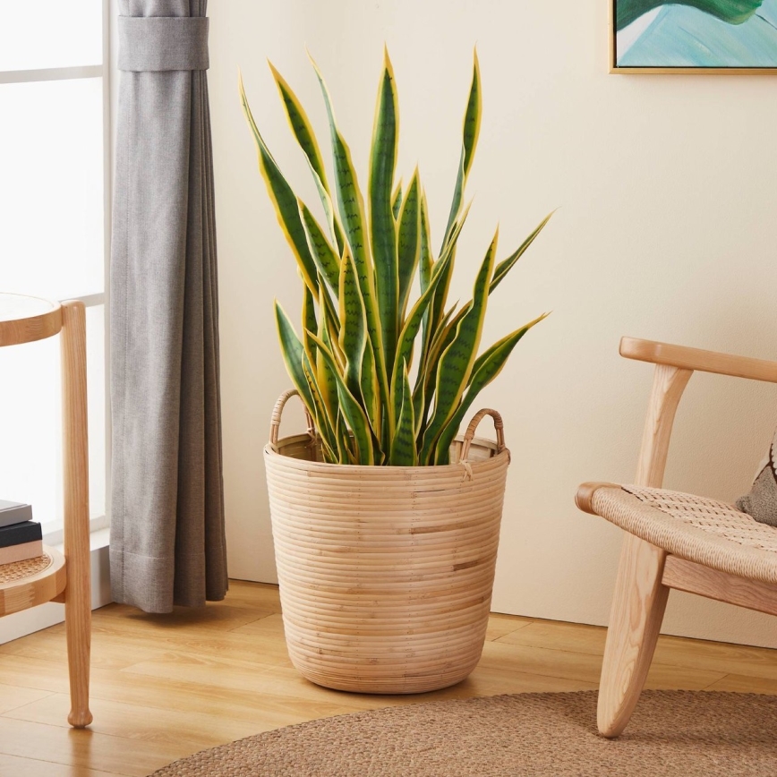 Eglo - Cestino decorativo 41x36 cm rattan