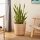 Eglo - Cestino decorativo 41x36 cm rattan