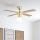 Eglo - Deckenventilator 1xE27/60W/230V golden