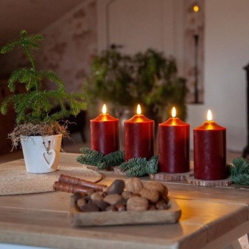 Eglo - Décoration de Noël LED/0,03W/2xAA