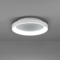 Eglo - Dimmbare LED-Deckenleuchte LED/12W/230V 2700-6500K weiß + Fernbedienung