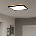 Eglo - Dimmbare LED-Outdoor-Deckenleuchte LED/17,6W/230V 2700-6500K 39x39 cm IP44 schwarz + Fernbedienung