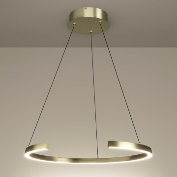 Eglo - dimmbare LED-Pendelleuchte an Stahlseil LED/24,8W/230V 2200-6500K goldfarben + Fernbedienung
