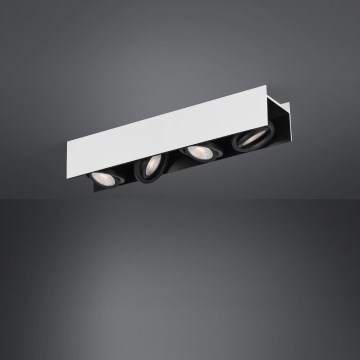Eglo - Faretto LED dimmerabile 4xLED/5,4W/230V