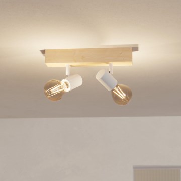 Eglo - Faretto TOWNSHEND 2xE27/60W/230V