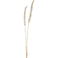 Eglo - Fiore artificiale 71,5 cm oro