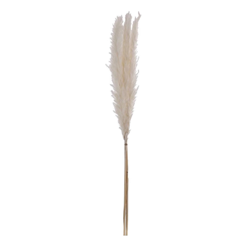 Eglo - Fiore essiccato 70 cm bianco