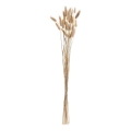Eglo - Fleur séchée 60 cm beige