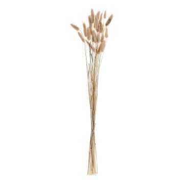 Eglo - Fleur séchée 60 cm beige