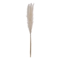 Eglo - Fleur séchée 70 cm blanc