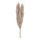Eglo - Getrocknete Blume 55 cm beige