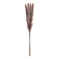 Eglo - Getrocknete Blume 60 cm violett