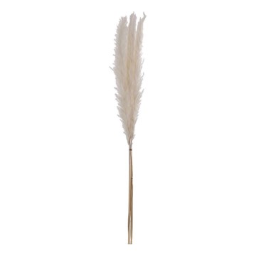 Eglo - Getrocknete Blume 70 cm weiß