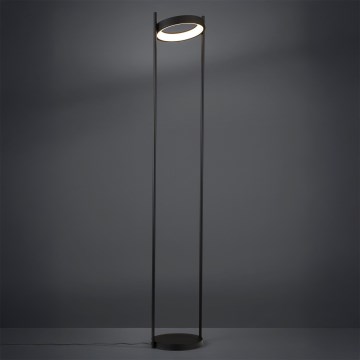 Eglo - Lampada da terra dimmerabile a LED LED/20W/230V 3000K nero