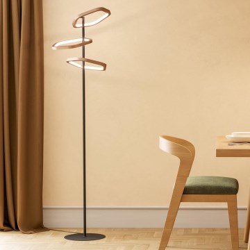 Eglo - Lampada da terra dimmerabile a LED LED/20W/230V ottone