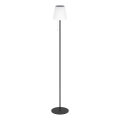 Eglo - Lampadaire solaire rechargeable LED/2,3W/3,7V 3000/4000/6500K 1800 mAh IP44 noir