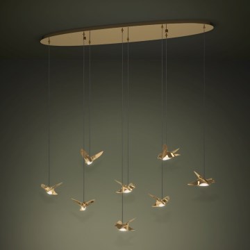 Eglo - Lampadario a sospensione con filo LED dimmerabile 8xLED/4,2W/230V 3000K oro
