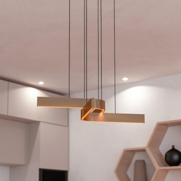 Eglo - Lampadario a sospensione LED RGBW dimmerabile con cavo 2xLED/18W/230V rame/nero