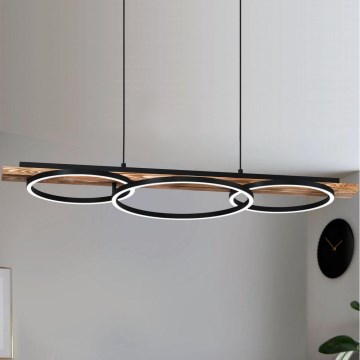 Eglo - Lampadario LED dimmerabile su corda LED/40,5W/230V