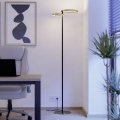 Eglo - lampe sur pied LED dimmable LED/16W/230V + LED/12W dorée/noire