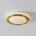Eglo - LED Badezimmer-Deckenleuchte LED/10,8W/230V IP44