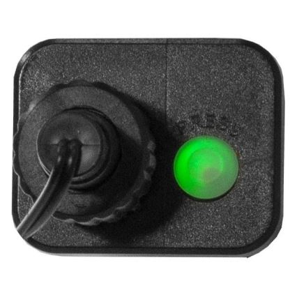 Eglo 472-53 - Catena luminosa natalizia LED da esterno BERRY MINI 700 LED/8 funzioni, 19 m, multicolore, IP44