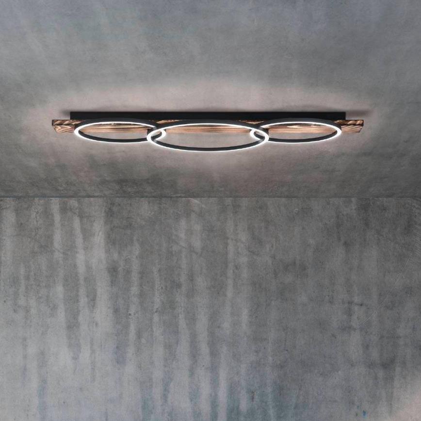 Eglo - LED Deckenleuchte 2xLED/12W/230V + LED/12W