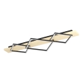 Eglo - LED-Deckenleuchte 2xLED/13W/230V + LED/16W schwarz/beige
