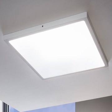 Eglo - LED dimmbare Deckenleuchte LED/25W/230V 50x50 cm