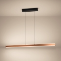 Eglo - LED-dimmbare Hängeleuchte an Seil LED/30W/230V 2200-6500K goldfarben + Fernbedienung