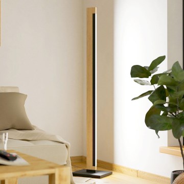Eglo - LED Dimmerabile touch lampada con piedistallo CAMACHO LED/22W/230V