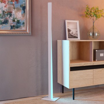 Eglo - LED RGBW dimmbare Stehleuchte LED/10,5W/230V + LED/15,2W grau