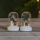 Eglo - Lot de 2 décorations de Noël à LED, 0,03 W, 1 pile CR2032