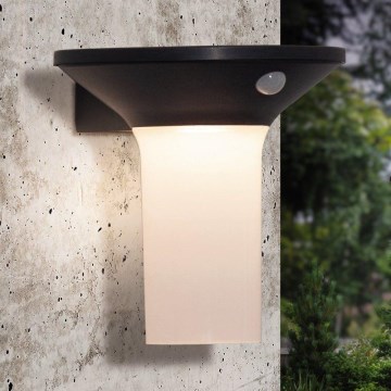 Eglo - Luminaire solaire LED d'extérieur avec détecteur 6xLED/0,03W/3,7V IP44