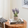 Eglo - Pianta artificiale in vaso 22x8 cm lavanda