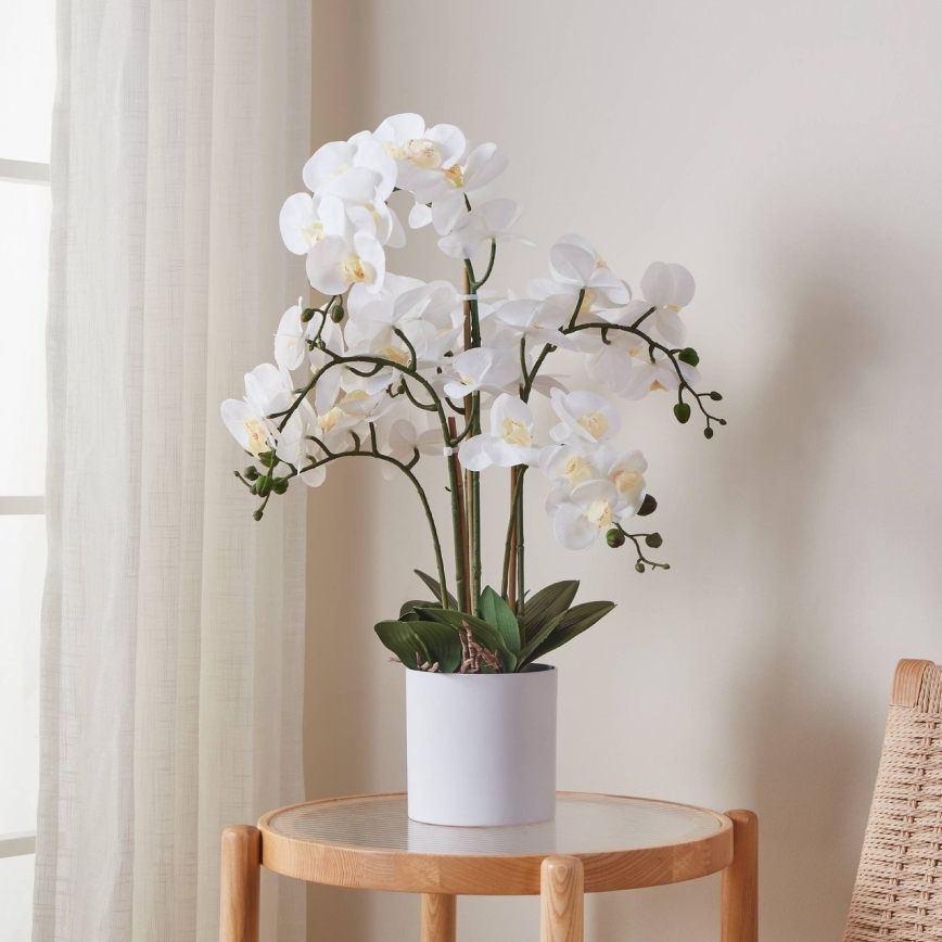 Eglo - Pianta artificiale in vaso 65x50 cm orchidea