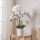 Eglo - Pianta artificiale in vaso 65x50 cm orchidea