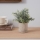 Eglo - Pianta artificiale in vaso da fiori 24x16 cm