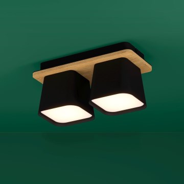 Eglo - Plafoniera 2xE27/40W/230V nero/marrone