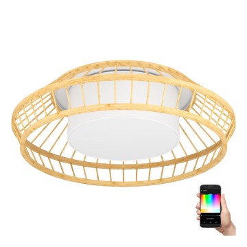 Eglo - Plafoniera dimmerabile RGBW LED/22W/230V 2700-6500K