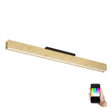 Eglo - Plafoniera dimmerabile RGBW LED/35W/230V 2700-6500K