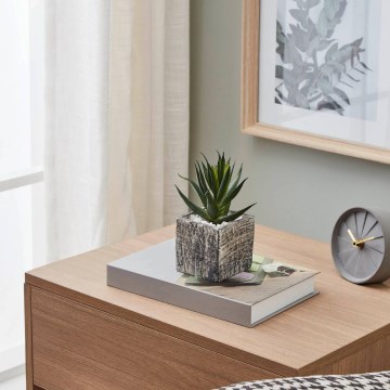 Eglo - Plante artificielle dans un pot de fleurs 13x9,5 cm succulent