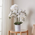 Eglo - Plante artificielle dans un pot de fleurs 65x50 cm orchidée