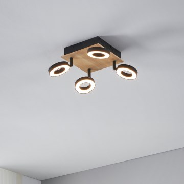 Eglo - Spot LED 4xLED/4,2W/230V noir/marron