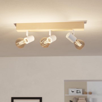 Eglo - Spotlight TOWNSHEND 3xE27/60W/230V